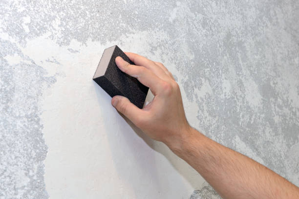 Best Dehumidification Services  in Saybrook On The Lake, OH