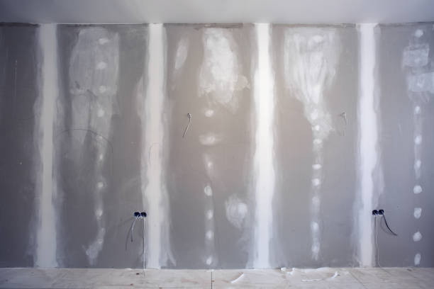 Best Water Damage & Mold Remediation  in Saybrook On The Lake, OH